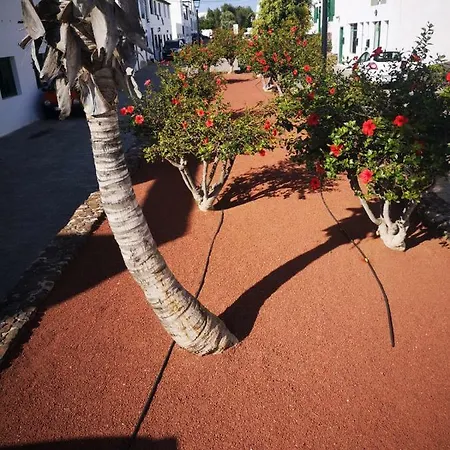 Anaca Lejlighed